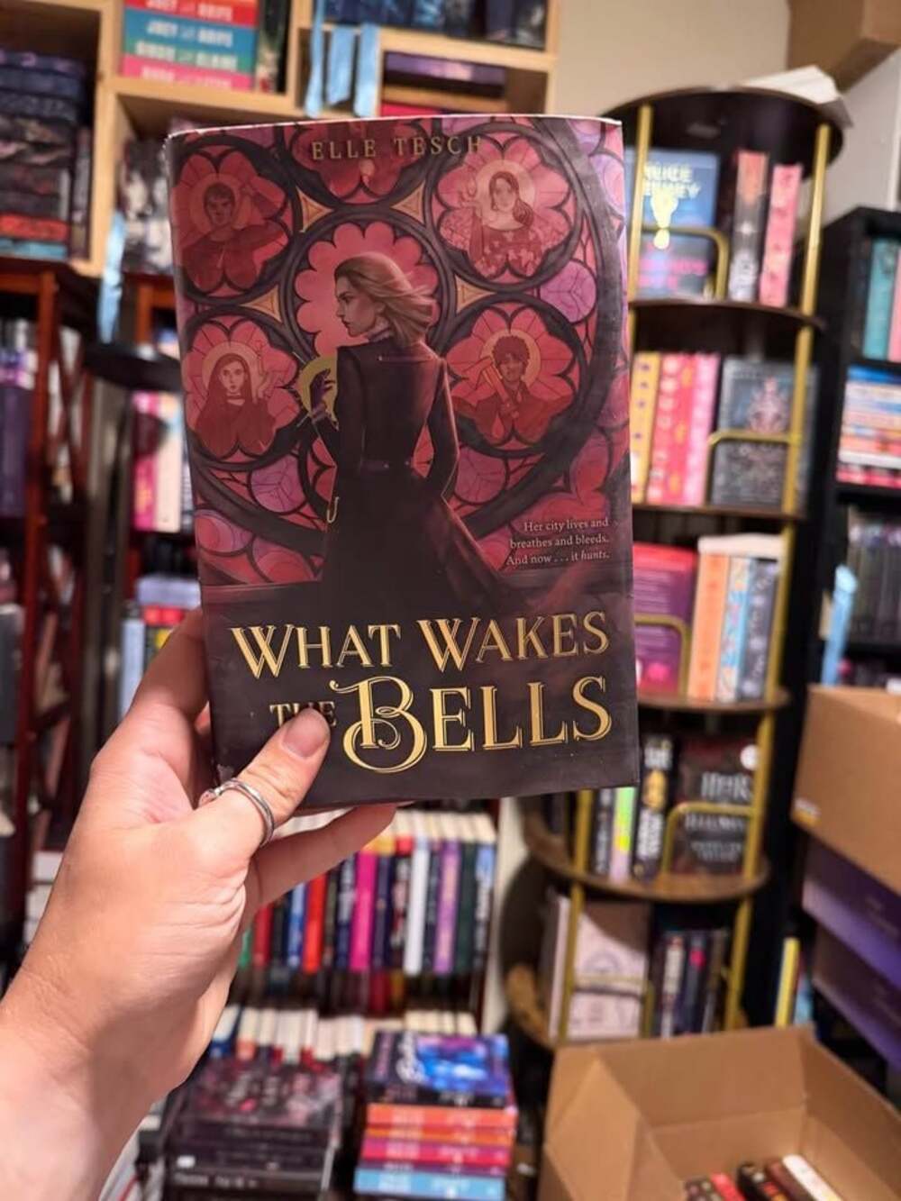 What Wakes The Bells by Elle Tesch book